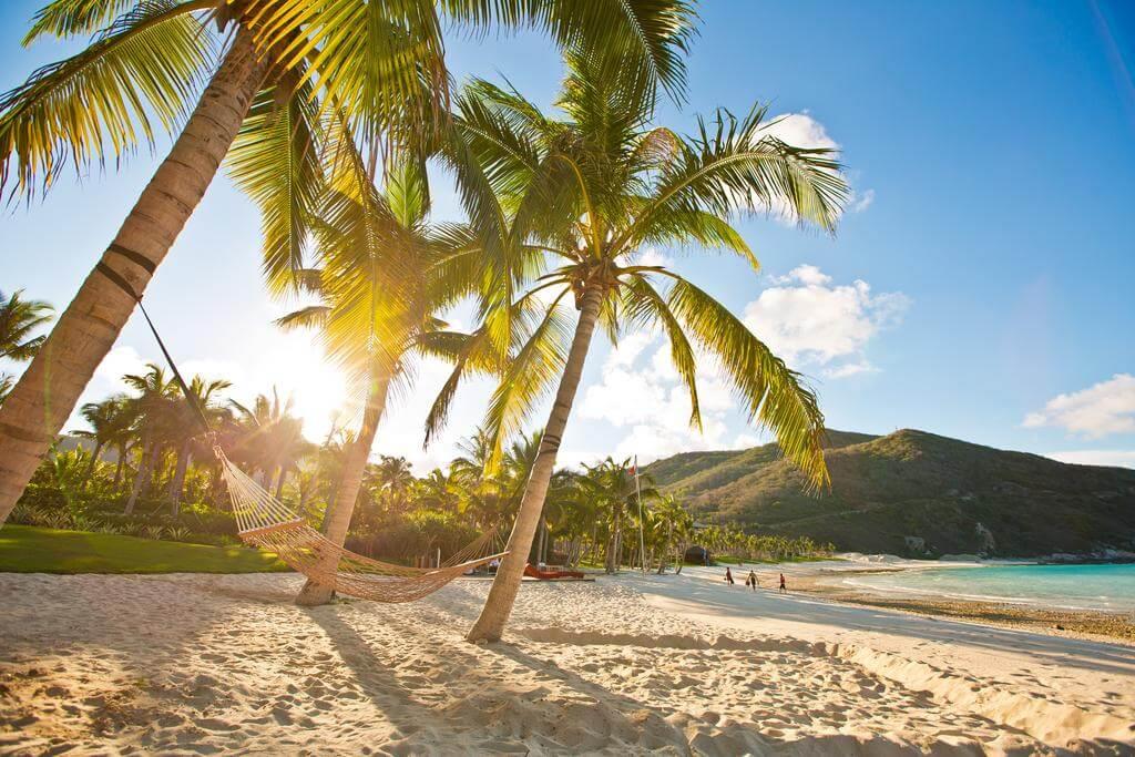 Sunny bay. Пальмы на Хайнане. Sanya Bay пляж.