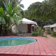 Coco's Resort 3*, Индия, Северный Гоа