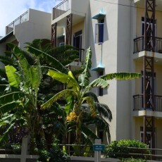 Pingouinvillas Apts, Маврикий, Блу-Бэй