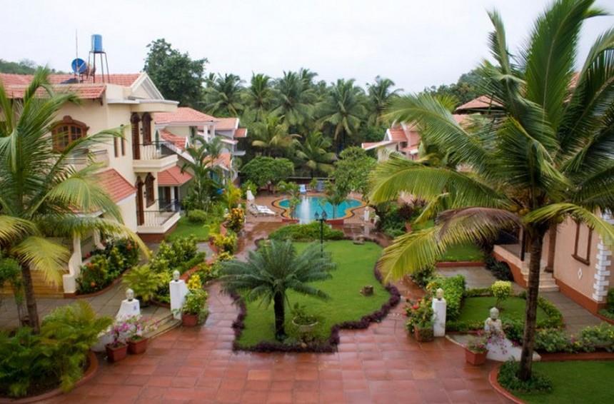 Classic goa. Псай 2022. Кандолим индия. Wiz hotel. Гоа отели 3 звезды.