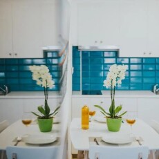 Stephanie Studios 3*, Кипр, Ларнака