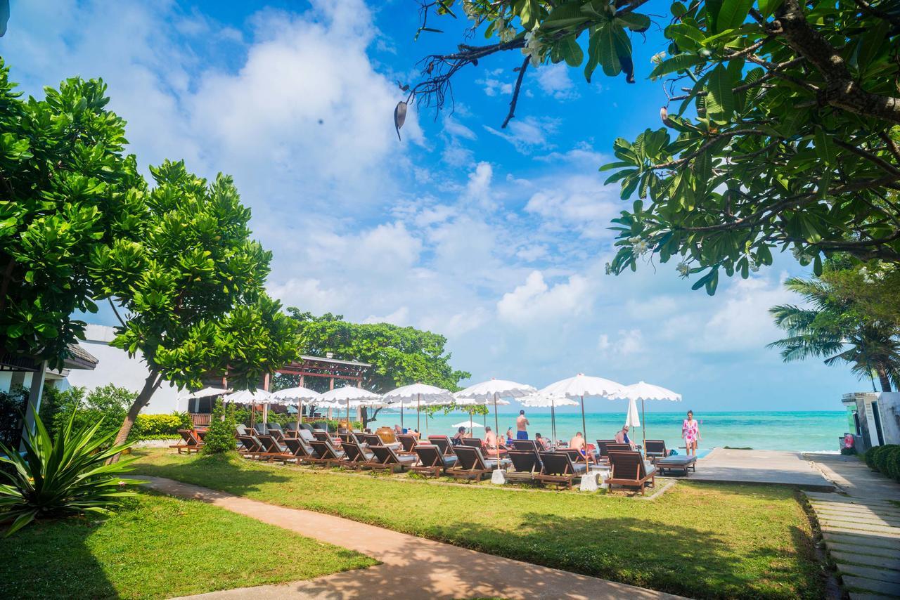 Lamai apartment. Ламай Самуи. Ламаи Бич Таиланд. The Hive Hotel Самуи. Lamai Wanta Beach Resort 3*.