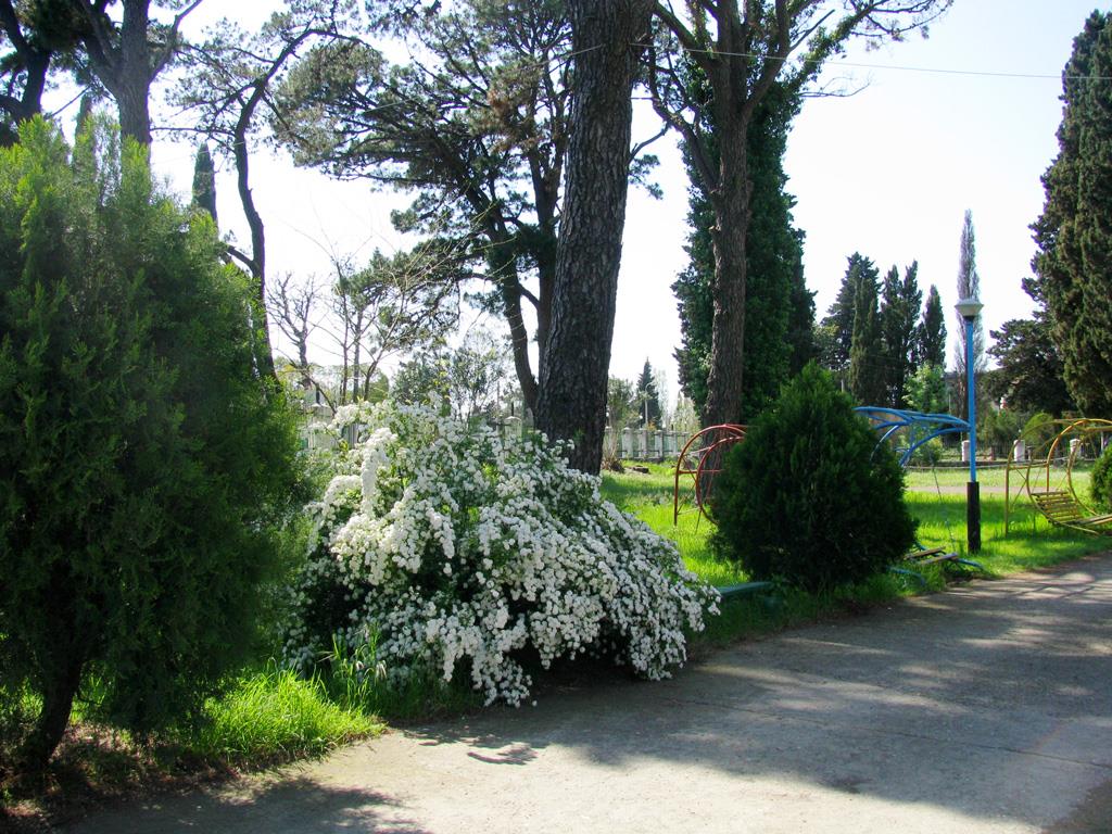 Поселок леселидзе в абхазии. Леселидзе абхазия. Поселок гечрипш абхазия. Цандрипш и гечрипш. Пгт гячрыпш.