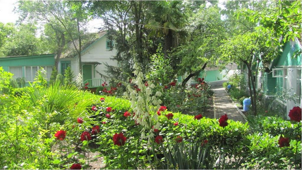 Турбаза мир алушта сайт. Мир турбаз. Турбаза мир Алушта