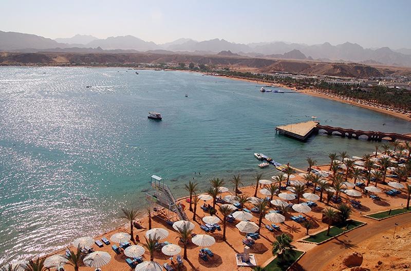 Отель Beach Albatros Resort Sharm El Sheikh 4* / Египет / Шарм-Эль-Шейх - фото, туры в отель