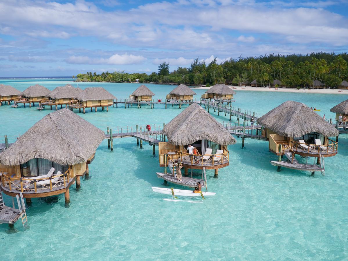 Номер телефона бора бора. Бора Бора 2022. Le Bora Bora by Pearl Resort. Бора Бора Тольятти. Pearl Beach.